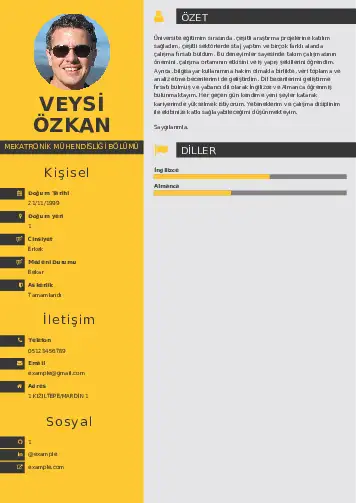Mekatronik Mühendisliği Cv Örnekleri cv indir